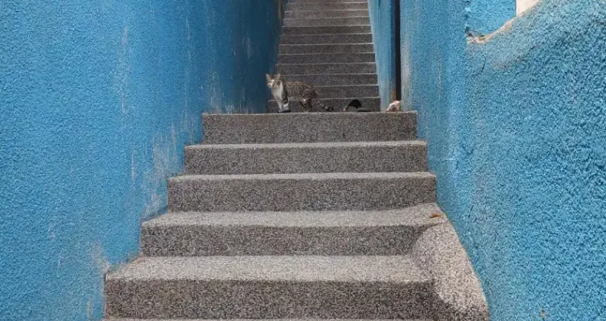 Casa com 3 quartos à venda no Mailasqui, São Roque