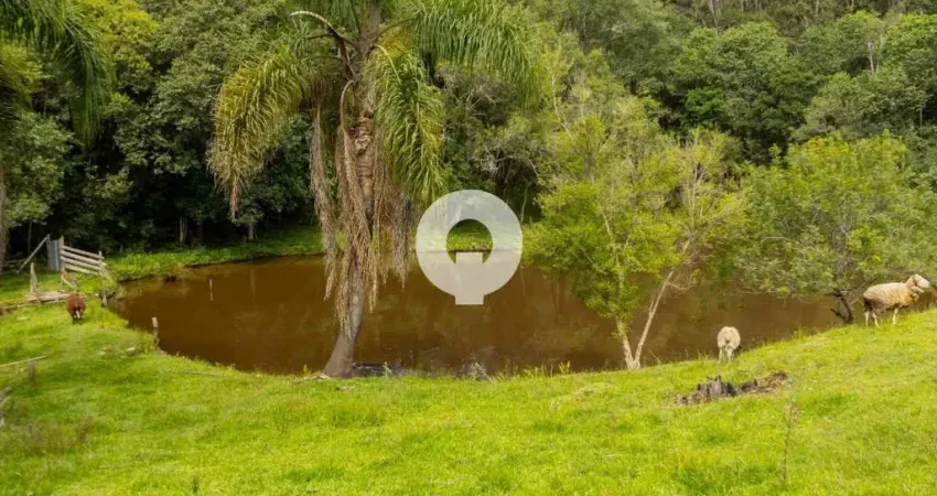 Chácara / sítio com 4 quartos à venda na Br 116 Km 156, 156, Zona Rural, Mandirituba