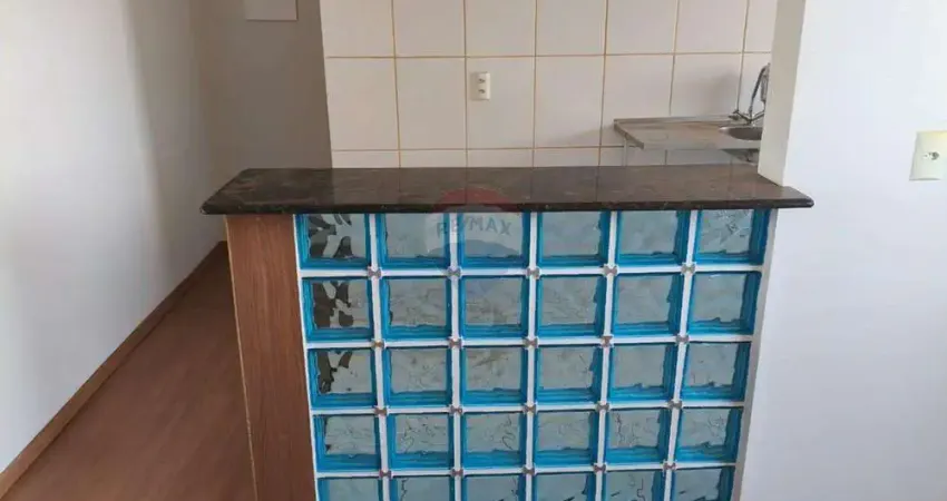 Alugo - apartamento com 2 quartos, 46m² - condomínio mais campos eliseos