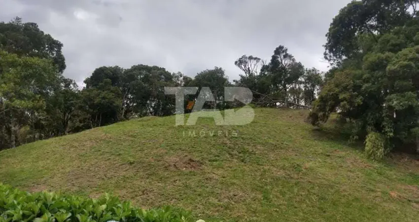 Terreno comercial à venda na Praça Leonardo Sell, 159, Centro, Rancho Queimado