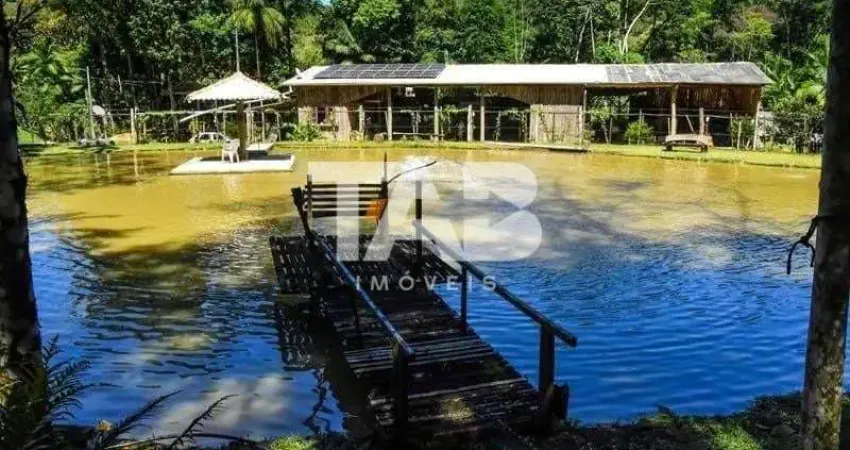 Casa com 5 quartos à venda no Braço, Camboriú 