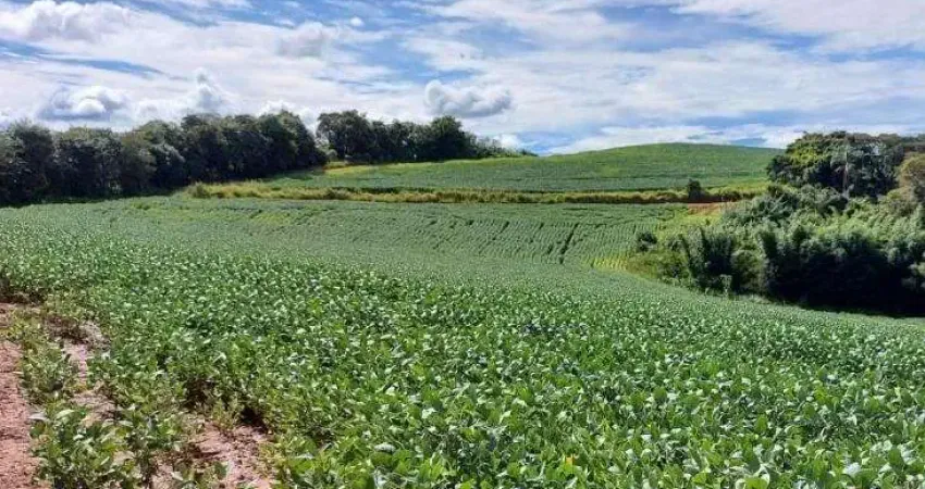 Fazenda / Sítios / Chácaras com 3 quartos à venda em Conceição Do Rio Verde