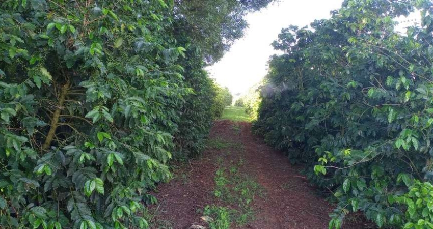 Fazenda / Sítios / Chácaras com 3 quartos à venda em Campanha