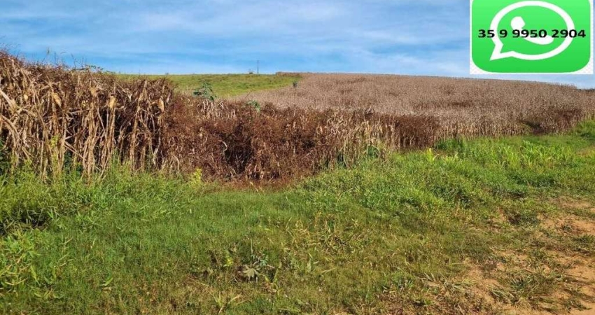 Fazenda / Sítios / Chácaras com 1 quarto à venda em São Sebastião Da Bela Vista