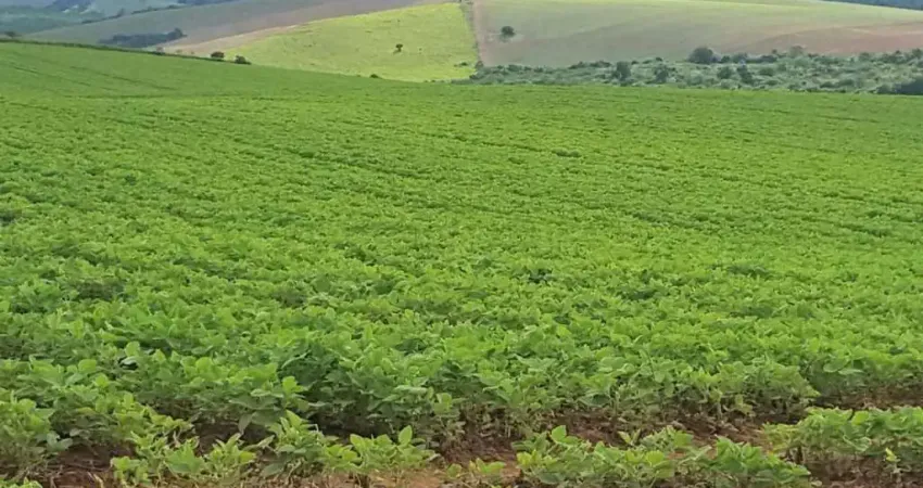 Fazenda / sítios / chácaras com 3 quartos à venda em andrelândia