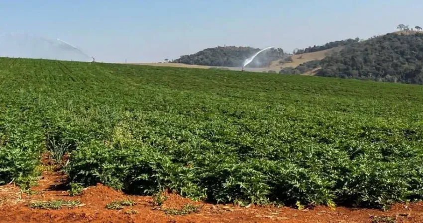 Fazenda / sítios / chácaras com 3 quartos à venda em pouso alegre