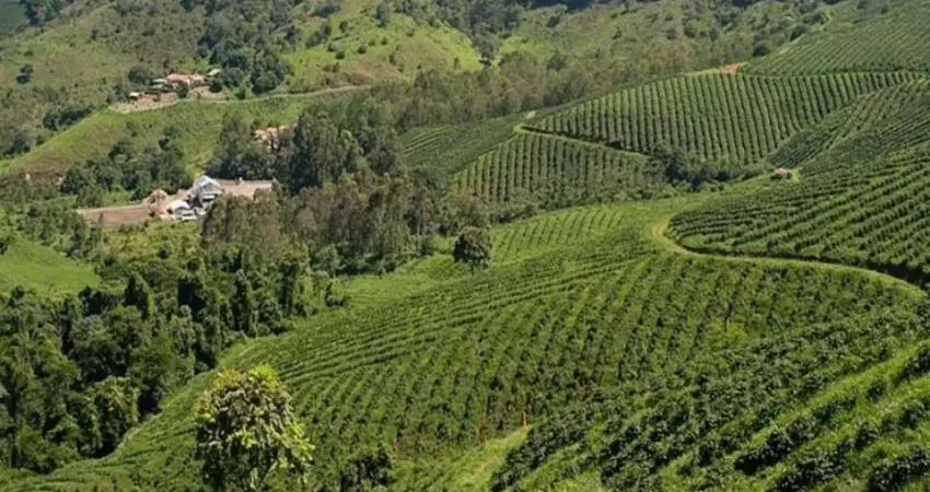 Fazenda / sítios / chácaras com 6 quartos à venda em conceição do rio verde