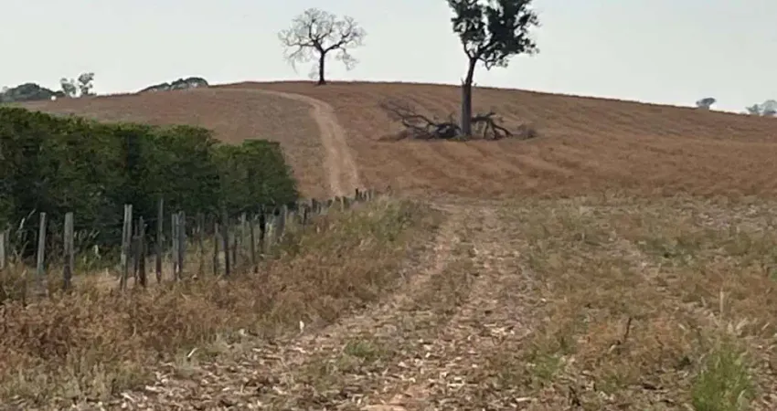 Fazenda / sítios / chácaras com 1 quarto à venda em divisa nova