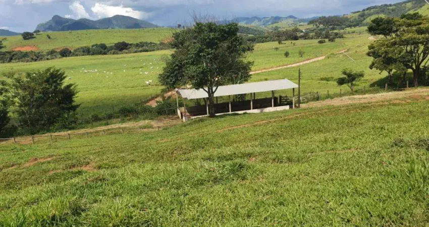 Fazenda / Sítios / Chácaras com 3 quartos à venda em Itajubá