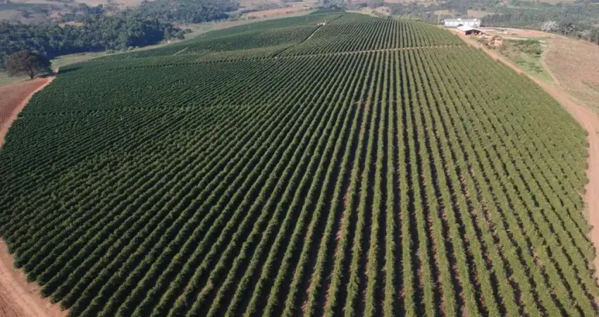 Fazenda / Sítios / Chácaras à venda em São Gonçalo Do Sapucaí