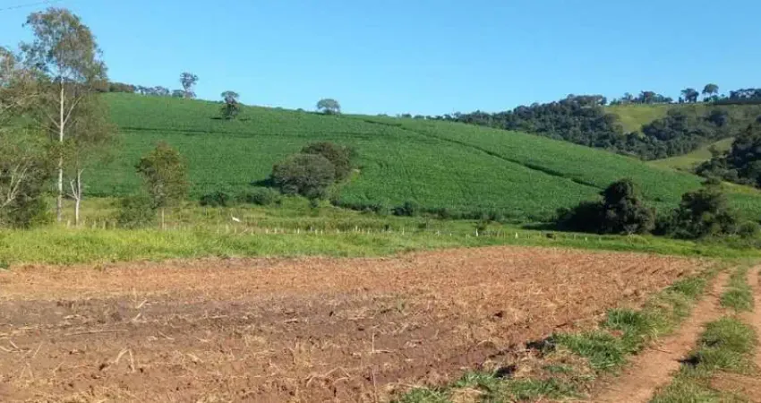 Fazenda / sítios / chácaras com 3 quartos à venda em silvianópolis