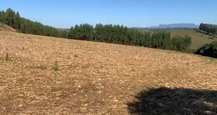 Fazenda à venda na Zona Rural, 135, Zona Rural, Cruzília