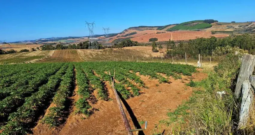 Fazenda / sítios / chácaras à venda em espírito santo do dourado