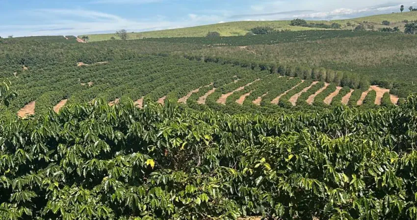 Fazenda à venda na Zona Rural 2, 004, Zona Rural, Divisa Nova