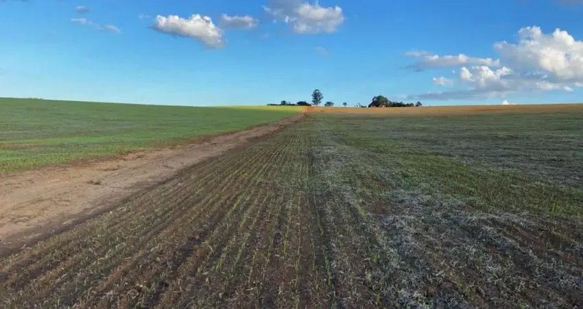 Fazenda à venda na Zona Rural 2, 005, Zona Rural, Oliveira