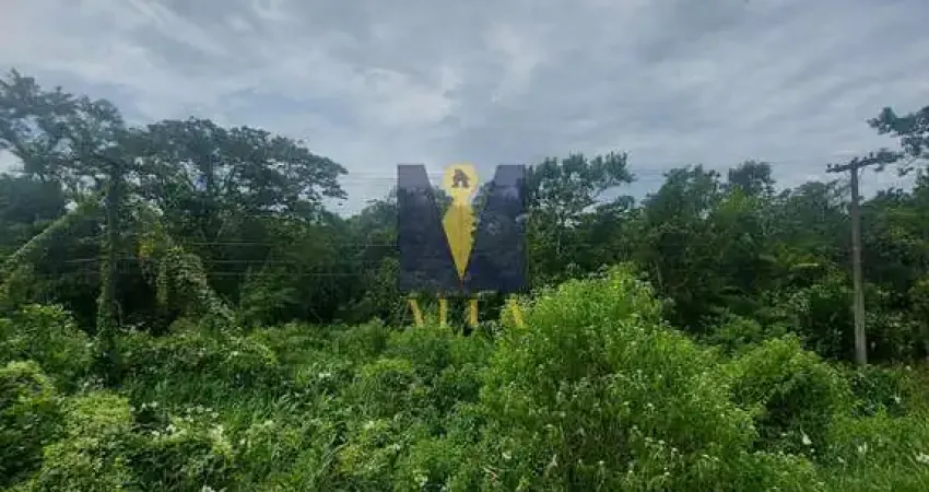 Terreno à venda na Praia do Itamambuca, Ubatuba 