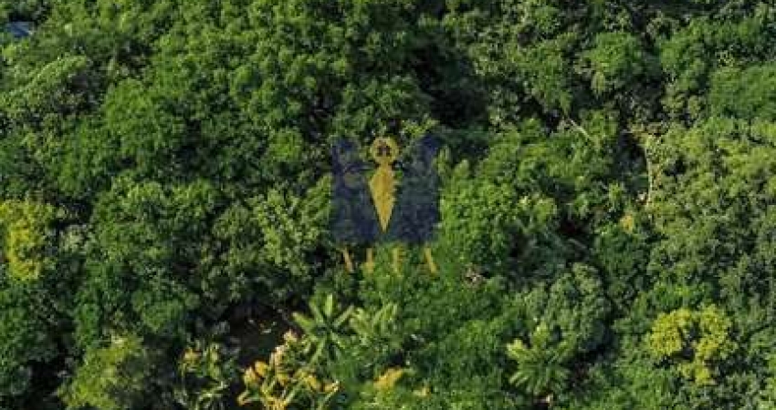 Casa com 4 quartos à venda em Ponta Grossa, Ubatuba 