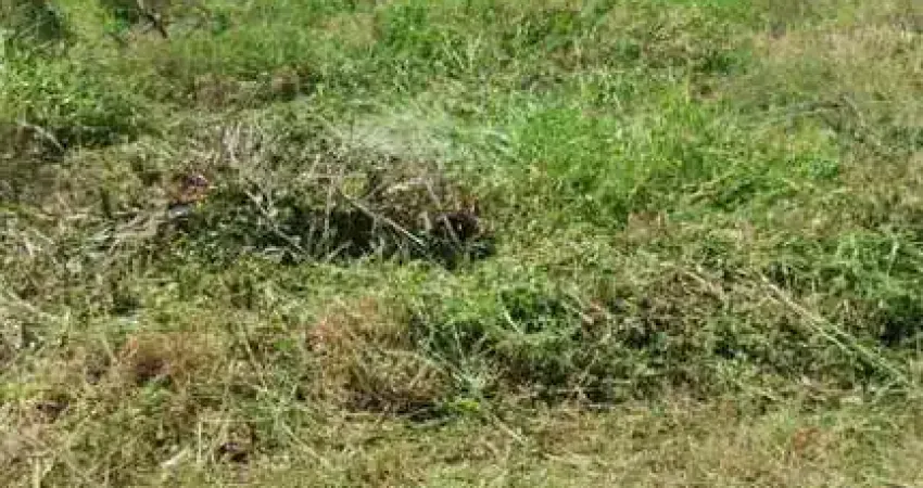 Terreno à venda no Santo Antônio, Concórdia 