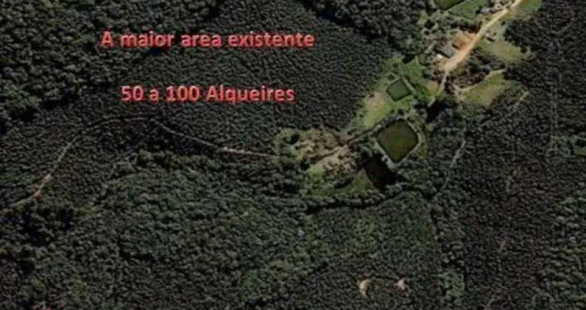 Serra do Japi - area de preservação a maior e melhor da região varios lagos e varias residencia em jundiai e plantação de eucalipto