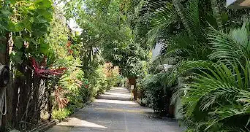 APARTAMENTO DENTRO DE UM JARDIM