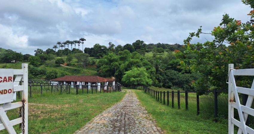 Chácara / sítio com 5 quartos à venda no Matriz, Vitória de Santo Antão 
