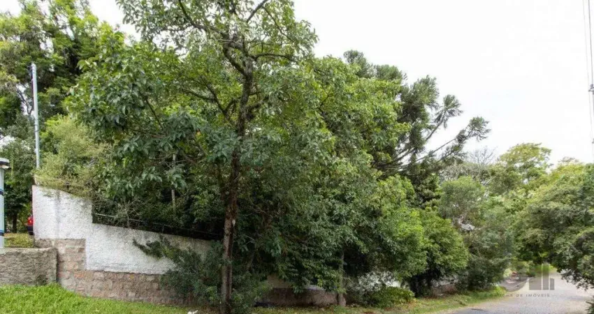 Terreno, 363.78 m², em Vila Conceição, em região elevada e livre de inundações