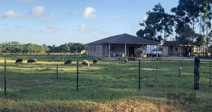 Chácara / sítio com 3 quartos à venda na Estrada Jose oliveira ouriques, 1002, Caravagio, Osório