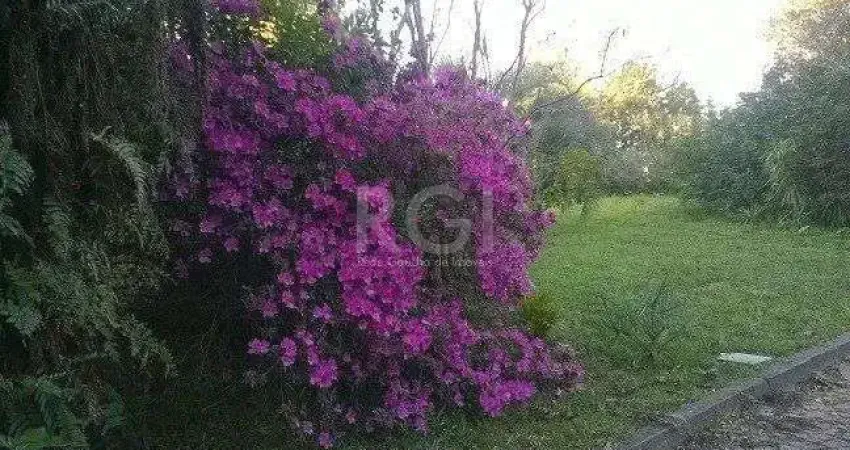 Casa com 1 quarto à venda na Travessa Argentina, 21, Aparecida, Alvorada