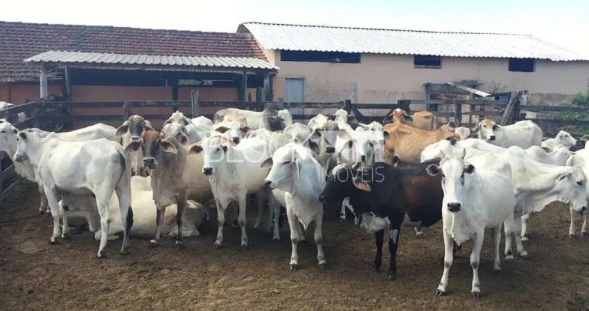 Fazenda à venda na Estrada municipal, --, Centro, Araruama