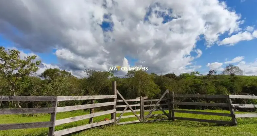 Chácara com Galpão á venda, 6.200 m² por R$ 350.000,00 - Associação Rural Reserva dos Imigrantes - São Leopoldo/RS