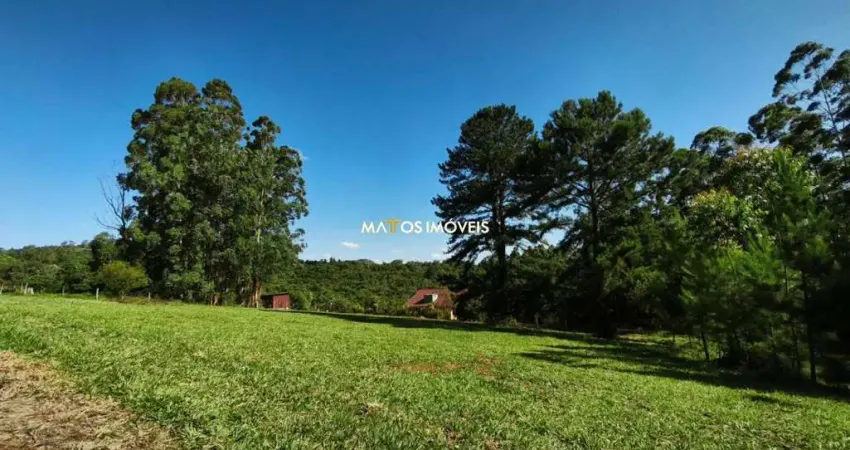 Terreno à venda na Estrada Morro de Paula, 3333, Fazenda São Borja, São Leopoldo