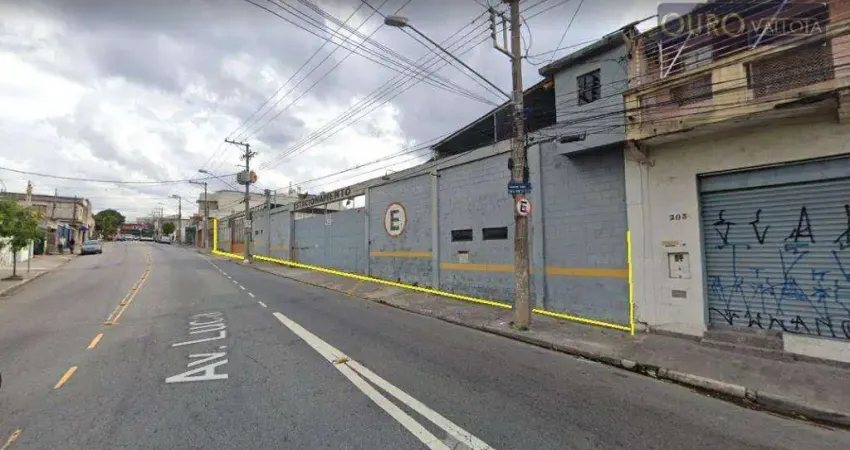 Barracão / Galpão / Depósito para alugar na Avenida Luca, Vila Diva, São Paulo