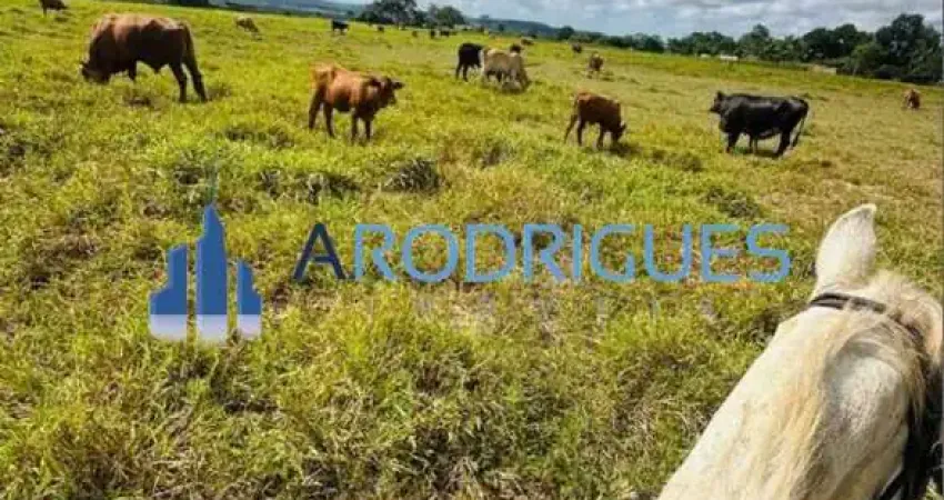 Fazenda à venda em Teodoro Sampaio-BA: 349.200,00 m² de área no bairro