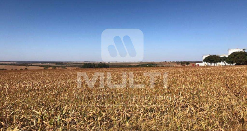 Terreno comercial para alugar no Jardim Canaã, Uberlândia 