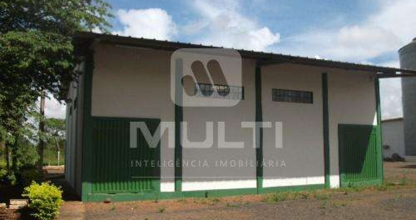 Barracão / Galpão / Depósito para alugar na Área Rural de Uberlândia, Uberlândia 