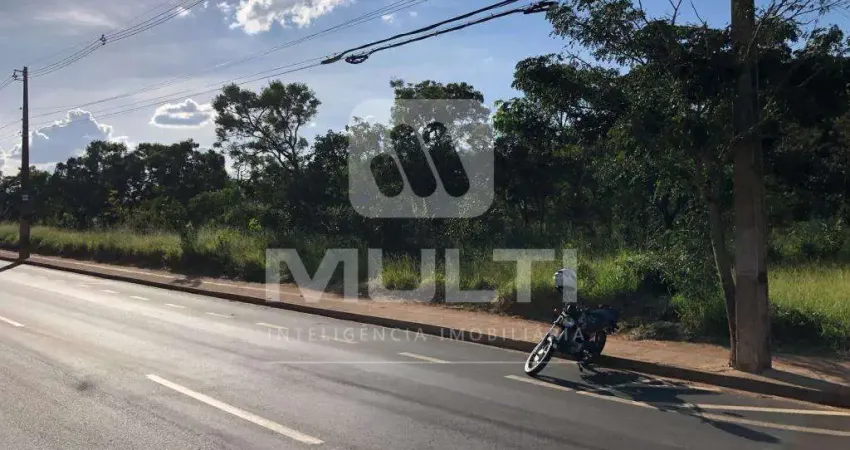 Terreno comercial para alugar no Chácaras Bonanza, Uberlândia 