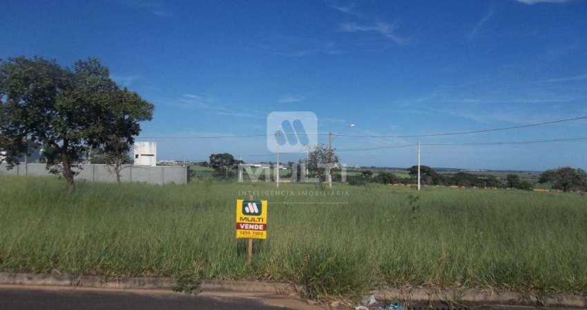 Terreno comercial à venda no Bosque dos Buritis, Uberlândia 