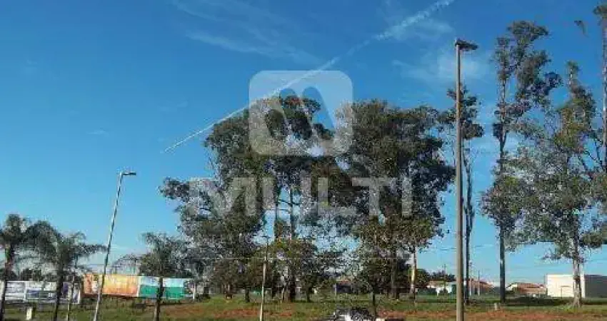 Terreno comercial à venda no Jardim Patrícia, Uberlândia 