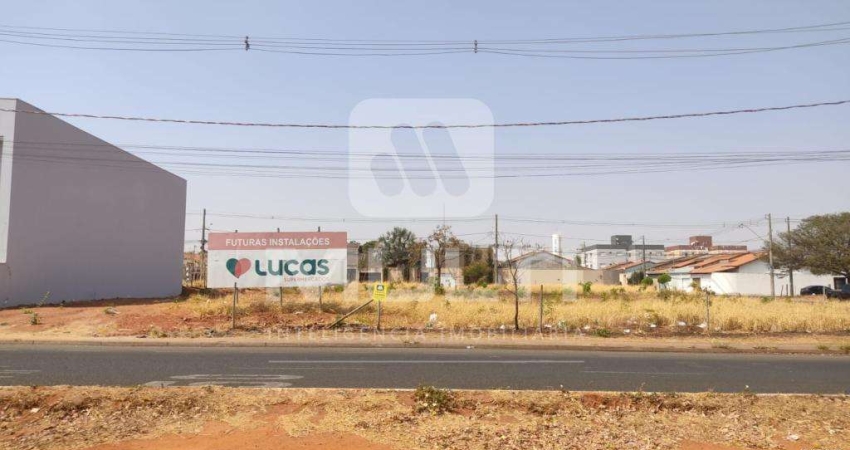 Terreno comercial à venda no Trianon, Uberlândia 