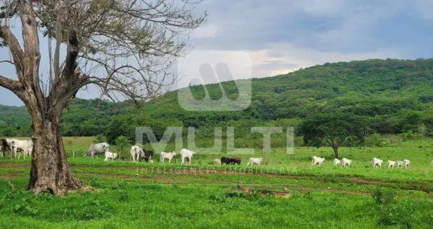 Terreno comercial à venda na Área Rural de Uberlândia, Uberlândia 