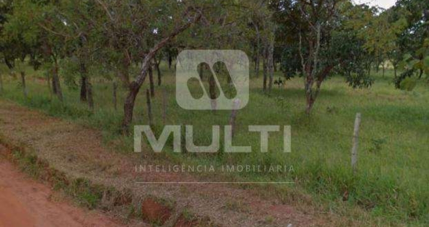 Chácara / sítio com 1 quarto à venda no Chácaras Bonanza, Uberlândia 