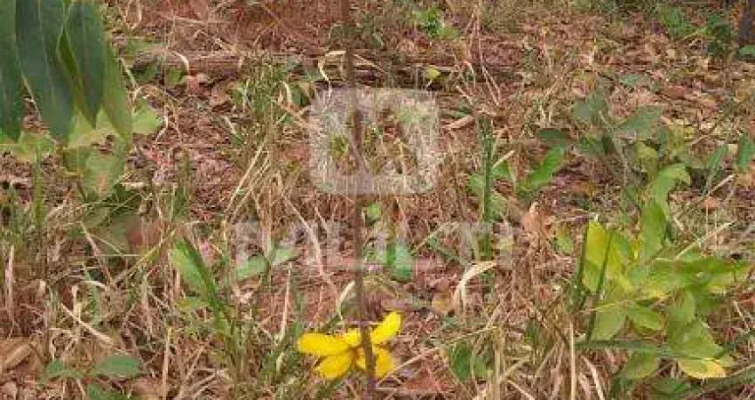 Chácara / sítio com 2 quartos à venda na Área Rural de Uberlândia, Uberlândia 