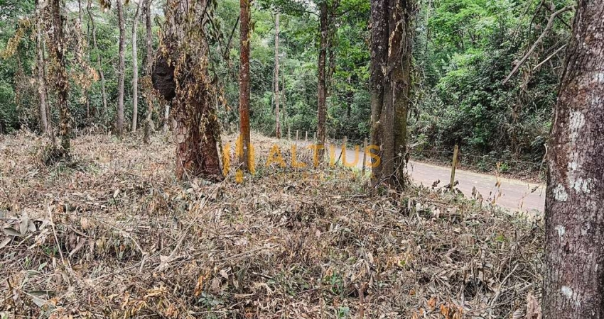 Terreno à venda na Rua Caminho do Jacu, S/N, Palhano, Brumadinho