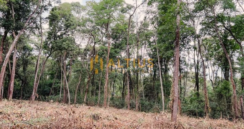 Terreno à venda na Rua Caminho do Jacu, S/N, Palhano, Brumadinho