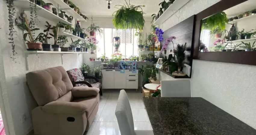 Apartamento com 2 quartos à venda na Rua Dolovico Pissaia, 840, Parque da Fonte, São José dos Pinhais