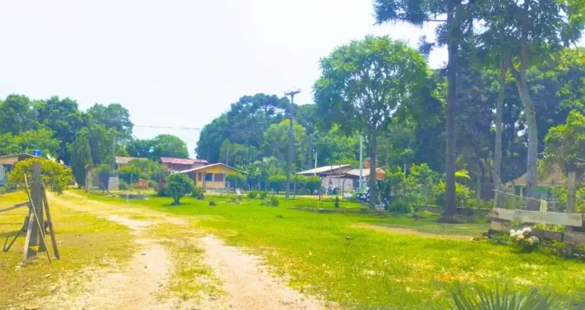 Chácara / sítio com 3 quartos à venda na Mato Grosso, 826, Mineiros, Balsa Nova