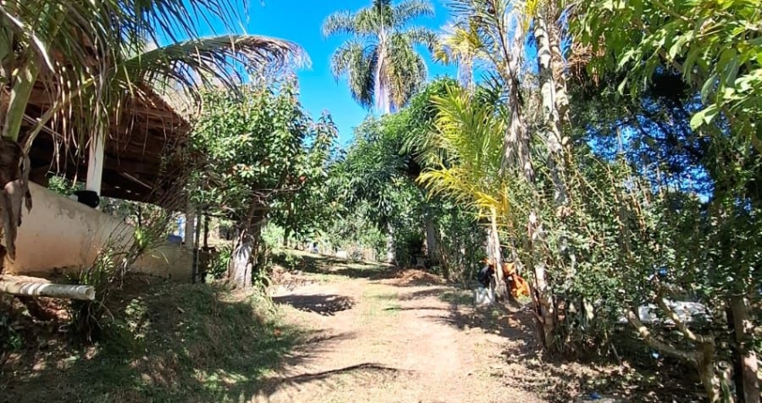 Chácara / sítio com 1 quarto à venda no Braz Caxi, Santa Branca 