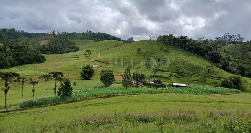 Fazenda à venda no Centro, Natividade da Serra 