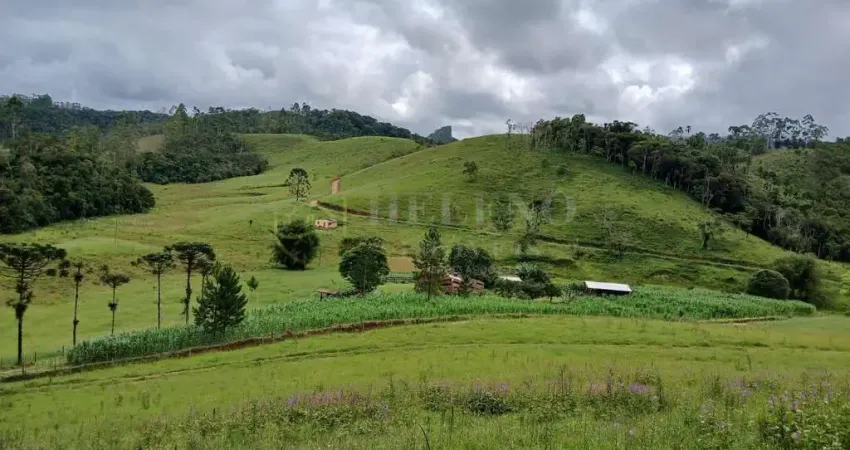 Chácara / sítio com 3 quartos à venda no Centro, Natividade da Serra 