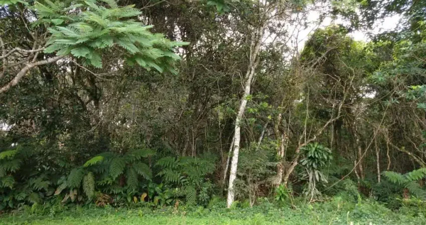 Terreno para Venda em Peruíbe, Jardim Santa Gabriela